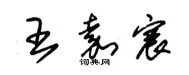 朱錫榮王嘉宸草書個性簽名怎么寫