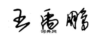 朱錫榮王禹鵬草書個性簽名怎么寫