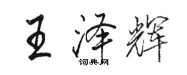 駱恆光王澤輝行書個性簽名怎么寫