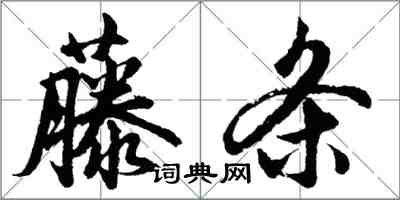 胡問遂藤條行書怎么寫