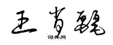 曾慶福王肖麗草書個性簽名怎么寫