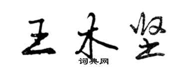 曾慶福王木堅行書個性簽名怎么寫