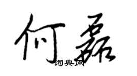 王正良何磊行書個性簽名怎么寫