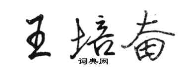駱恆光王培奮行書個性簽名怎么寫