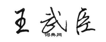 駱恆光王武臣行書個性簽名怎么寫