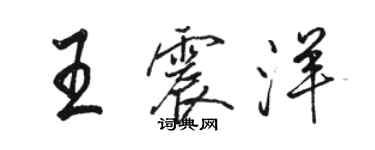 駱恆光王震洋行書個性簽名怎么寫