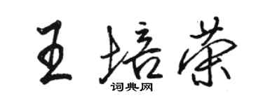 駱恆光王培榮行書個性簽名怎么寫