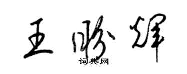 梁錦英王盼輝草書個性簽名怎么寫