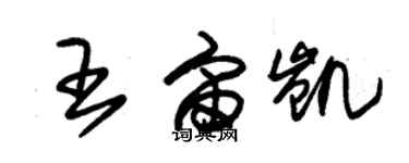 朱錫榮王宙凱草書個性簽名怎么寫