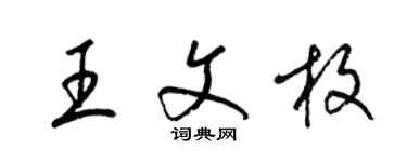 梁錦英王文枚草書個性簽名怎么寫