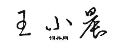 駱恆光王小晨草書個性簽名怎么寫