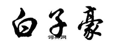 胡問遂白子豪行書個性簽名怎么寫