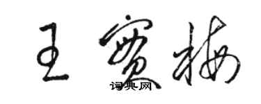 駱恆光王實梅草書個性簽名怎么寫