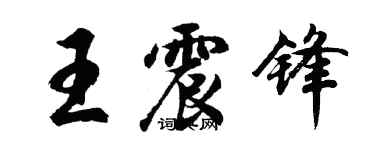 胡問遂王震鋒行書個性簽名怎么寫