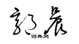 曾慶福郭晨草書個性簽名怎么寫