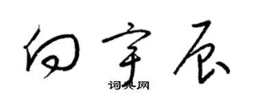 梁錦英向宇辰草書個性簽名怎么寫