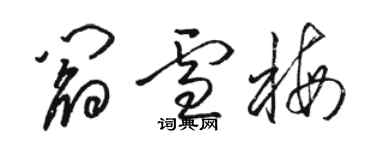 駱恆光閻雪梅草書個性簽名怎么寫