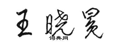 駱恆光王曉冕行書個性簽名怎么寫