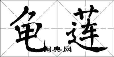 翁闓運龜蓮楷書怎么寫