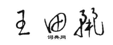 駱恆光王田麗草書個性簽名怎么寫