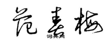 曾慶福范春梅草書個性簽名怎么寫