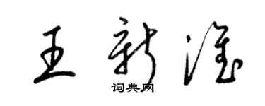 梁錦英王新淮草書個性簽名怎么寫