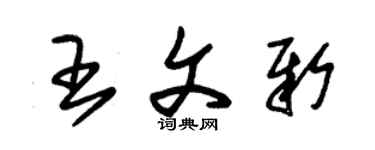 朱錫榮王文新草書個性簽名怎么寫