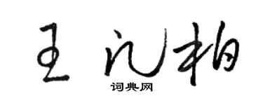 駱恆光王凡柏草書個性簽名怎么寫