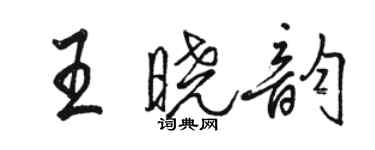 駱恆光王曉韻行書個性簽名怎么寫