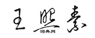 駱恆光王照素草書個性簽名怎么寫