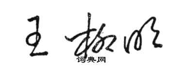 駱恆光王柳明草書個性簽名怎么寫