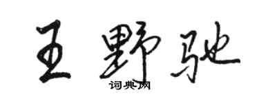 駱恆光王野馳行書個性簽名怎么寫