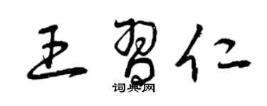 曾慶福王習仁草書個性簽名怎么寫