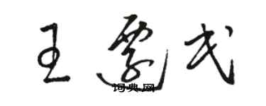 駱恆光王遷民草書個性簽名怎么寫