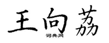 丁謙王向荔楷書個性簽名怎么寫