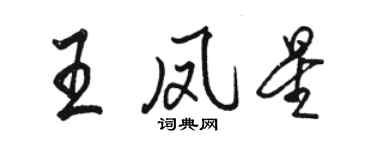 駱恆光王鳳星行書個性簽名怎么寫