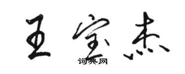 駱恆光王寶傑行書個性簽名怎么寫