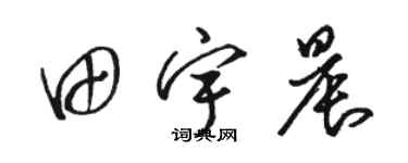 駱恆光田宇晨草書個性簽名怎么寫