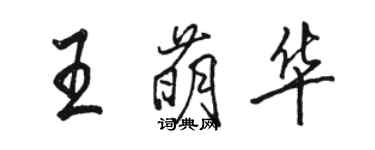 駱恆光王萌華行書個性簽名怎么寫