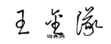 駱恆光王金隊草書個性簽名怎么寫