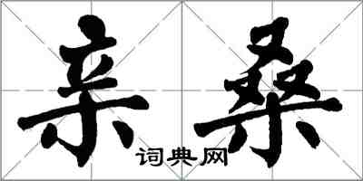 翁闓運親桑楷書怎么寫