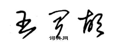 朱錫榮王聞胡草書個性簽名怎么寫