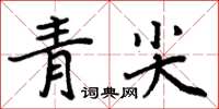 周炳元青尖楷書怎么寫