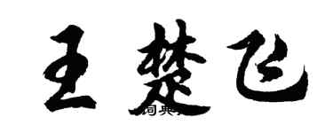 胡問遂王楚飛行書個性簽名怎么寫