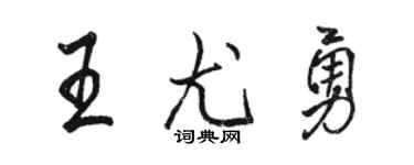 駱恆光王尤勇行書個性簽名怎么寫