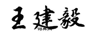 胡問遂王建毅行書個性簽名怎么寫