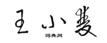 駱恆光王小雙草書個性簽名怎么寫