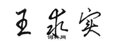 駱恆光王求實行書個性簽名怎么寫