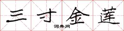袁強三寸金蓮楷書怎么寫