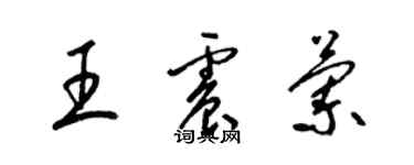 梁錦英王震蘭草書個性簽名怎么寫